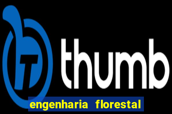 engenharia florestal ead cruzeiro do sul